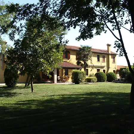 Zennare